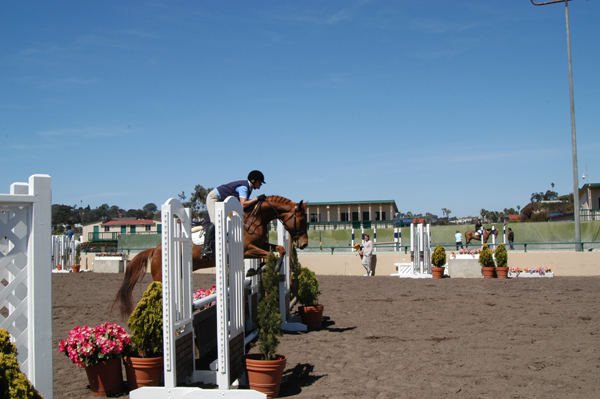 Cowboy at DelMar sale spring 2006